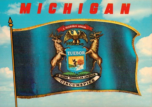 MI state flag | by x_xchokex_x