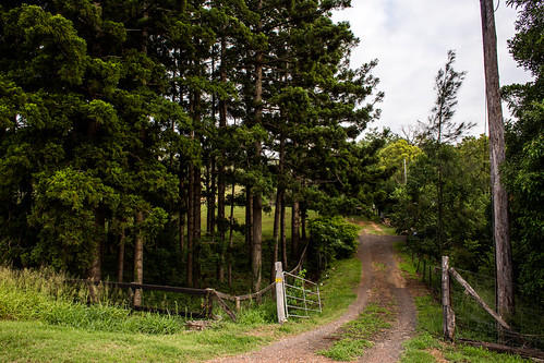 _MG_1906 by Jacob Schneider, australia queensland tallegalla