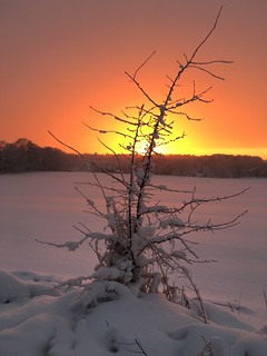 A Snowy Sunset