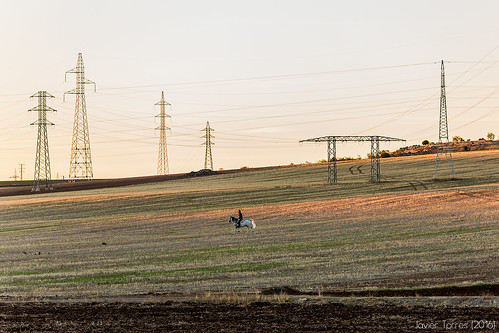 horse man hombre caballo campo country countryside landscape landscapesfromlamancha paisaje lamancha ciudadreal sunset dusk atardecer solitario lonely cowboy electricidad electricity tower torres highvoltage canon70200f4l warmlight luzcalida geotagged wires cables