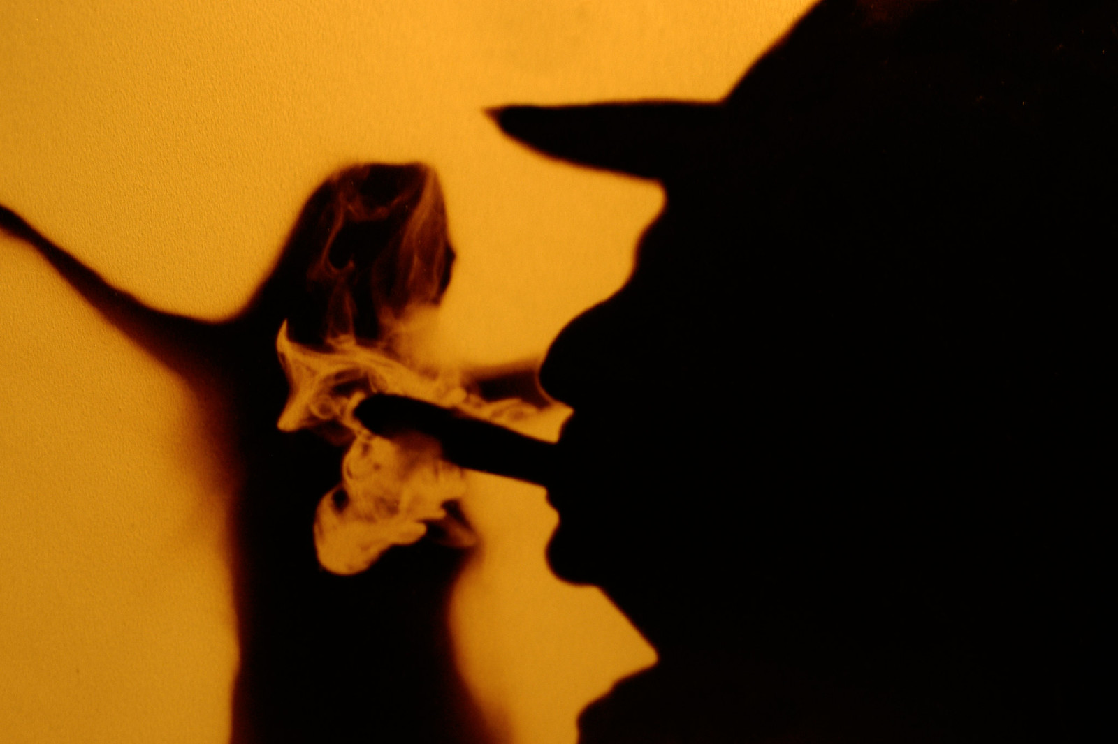 Foto 41 - Viñales, regno del tabacco - la fiesta de la vida