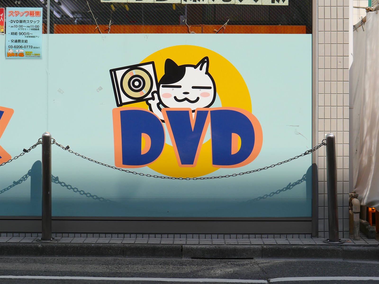 DVD Cat
