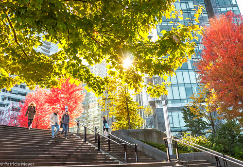 Autumn Colours in Vancouver | Patricia Meyer | Flickr
