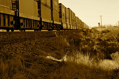 Eastbound BNSF stacktrain just outside Electra TX