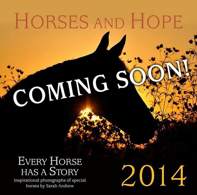 Coming soon! 2014 Horses and Hope calendar!