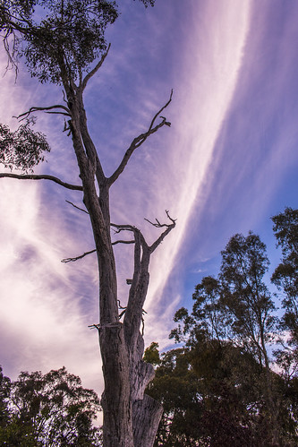 summer sky cloud clouds country australia victoria regional harcourt