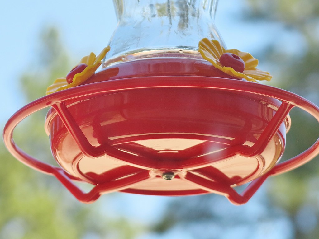 HBW ~ Hummingbird feeder edition