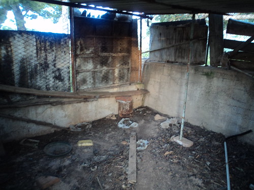 Ex henhouse trasformed in greenhouse. | by Faeryde