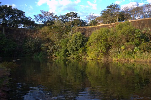ribeirãopreto cidade parque natureza lago bosque árvore nikond3100 ecologia naturezadobrasil brasil