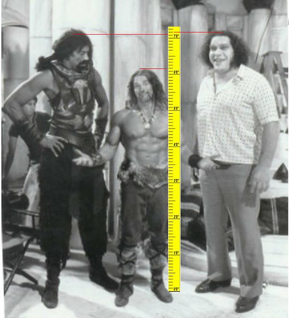 Wilt Arnold Andre the Giant.
