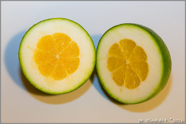 green orange lemon
