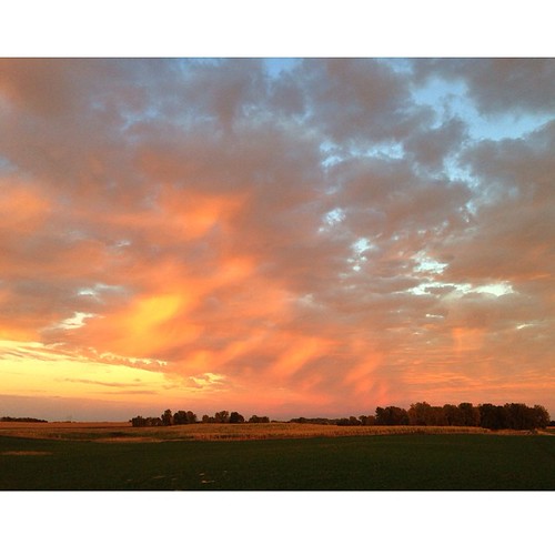 Here's a regular shot of the same scene. by Organicfamerpaul, square squareformat iphoneography instagramapp uploaded:by=instagram