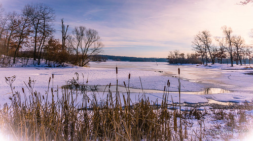 winter lake reflection landscape michigan scene vignette kensingtonmetropark