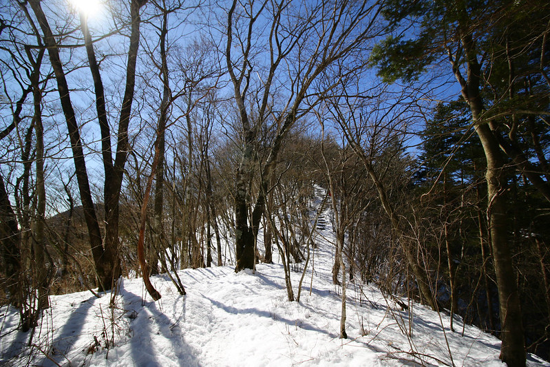 長者ヶ岳