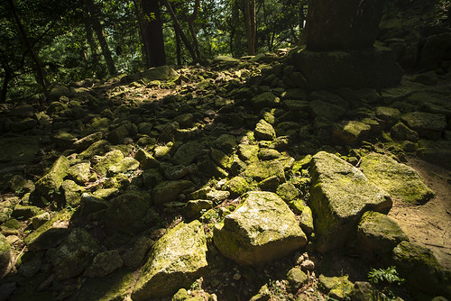 green nature japan stone digital zeiss t landscape moss nikon nippon mf manualfocus wakayama d800 distagon 21mm carlzeiss zf2 nachikatsuura