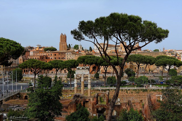 Rome : Beyond the pines, the Trajan's Market