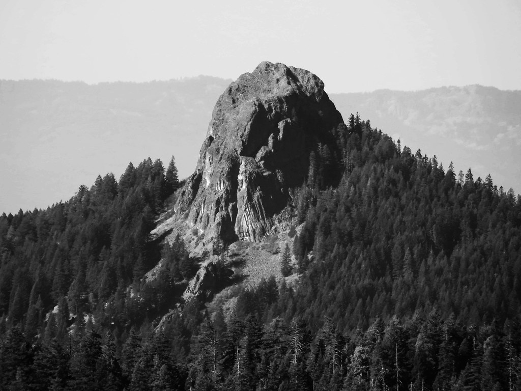Boccard Point Trail