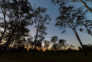 Dawn, Aussie Style