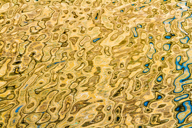 Ode to Klimt / 自然抽象之形 Nature Abstract Forms / 香港城門河之寧 Hong Kong Shing Mun River Serenity / SML.20130809.7D.49564