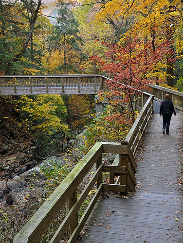 bridge autumn trees forest georgia landscape hiking cloudlandcanyonstatepark nikond7000
