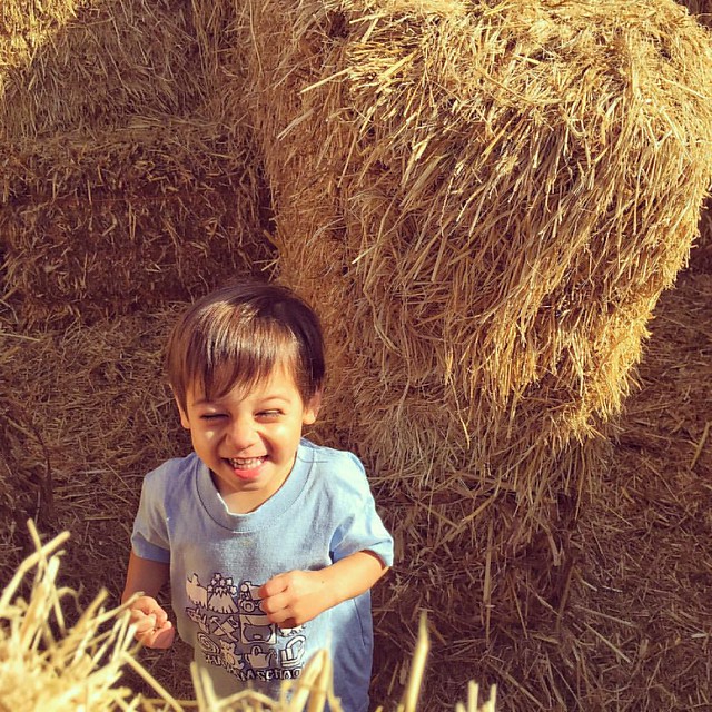 OMG!  How cute is JE? #toddlerboy #2yo #pumpkinpatch #halloween2016