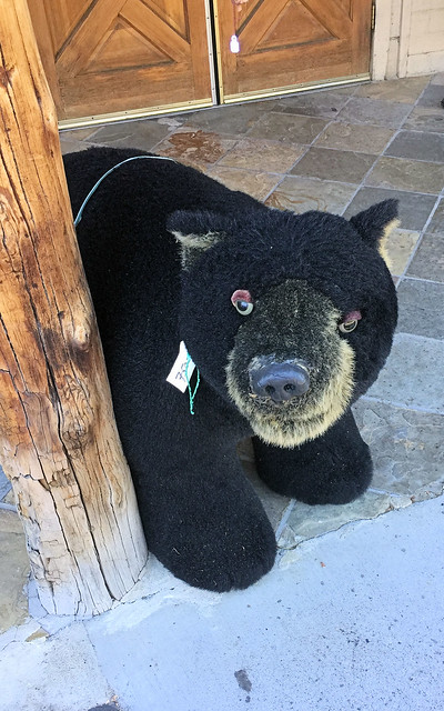 Greeter Bear in Front of Palomar Mtn. General Store