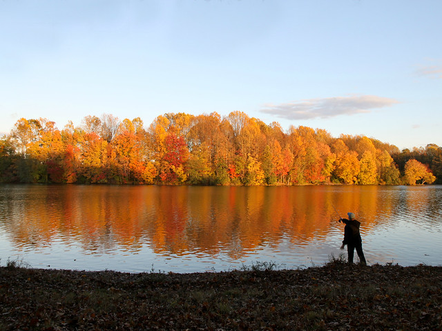 Autumn Fishing