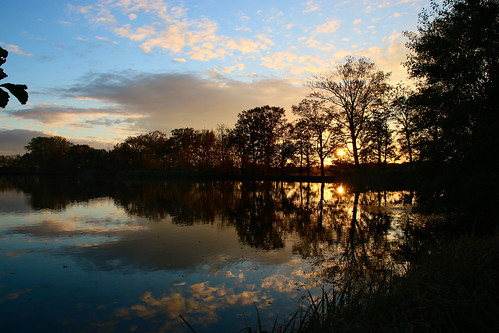 20131024_100523_01 by dr_knox, trees sunset sky water pond spreewald