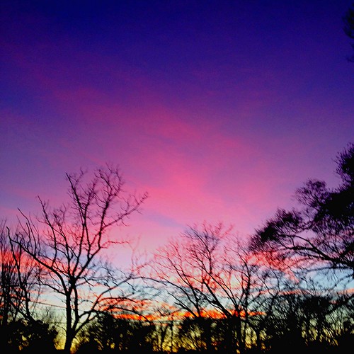 Cotton candy by iwishicouldthough, uploaded:by=flickrmobile colorvibefilter flickriosapp:filter=colorvibe