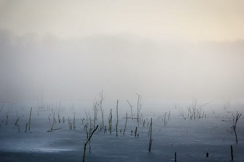 vsco vscofilm winter morning fog frozen pond nature tamron1750mmf28 twop day pwwinter canon rebel t2i fav45 fav35 fav25 cotcmostinteresting 2014 january landscape