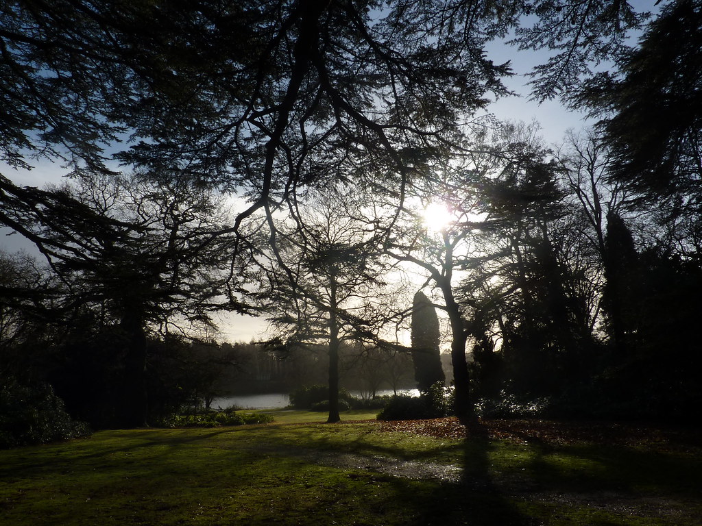 National Trust-Clumber Park, Nottinghamshire 25/01/2014 | Flickr