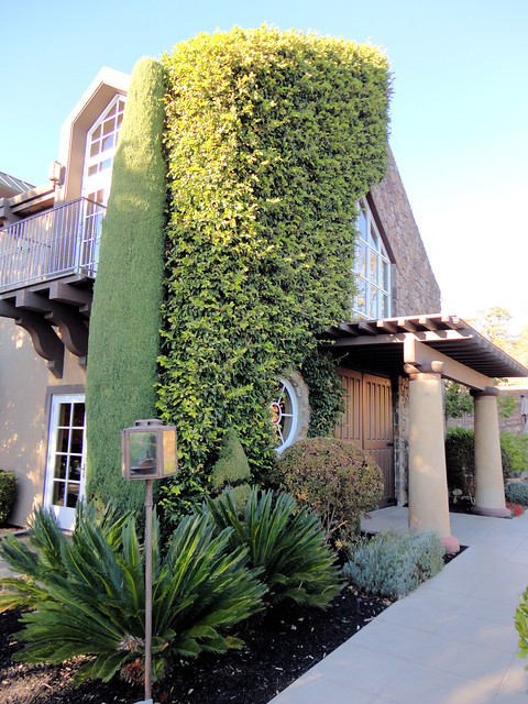 Signorello Estate Winery, Napa Valley, California, USA