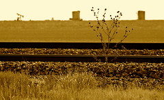 Railroad tracks and siding east of Electra TX