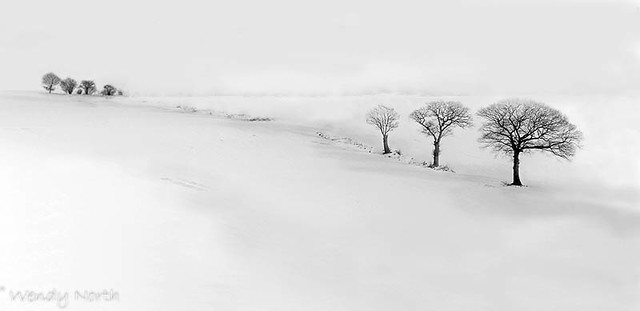 Three Winter Trees_edit3