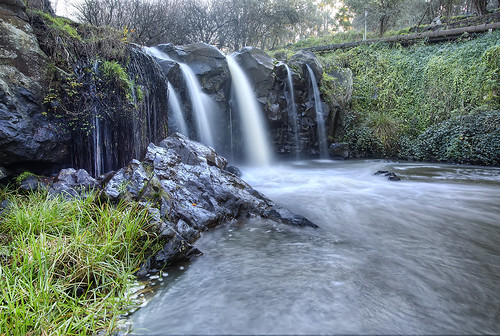 motion tree fall wet water grass rock canon waterfall bush long exposure branch victoria 5d hdr gippsland mkiii narracan
