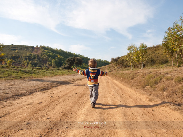 Little boy walking alone on a path