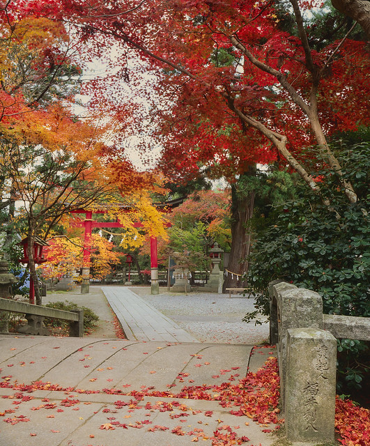 The path to the shrine