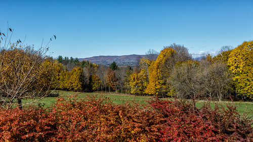 benningtonbattlemonument bennington vermont fall autumn leaves trees color