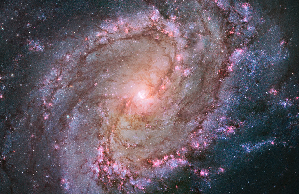 A view of the Spiral Galaxy M83 from the hubble space telescope