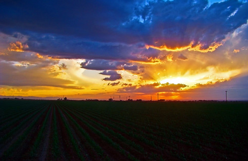 sunset red sky sun green field fun amazing corn colorado cloudy farm pueblo rows elements rays storms pueblocolorado pueblocounty elements8 photoshopelements8 cloudsstormssunsetssunrises