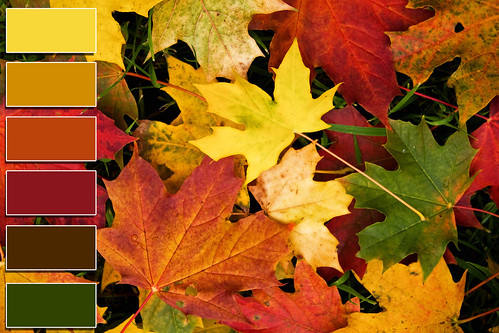 RGB Autumn Colors | schema colori rgb | Creative Pixel | Flickr