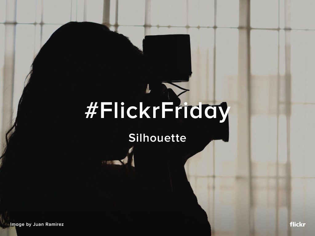 Flickr Friday - Silhouette
