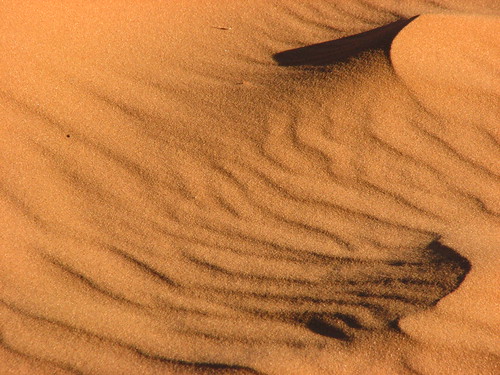 Sand Dunes 070 | by Chandler West
