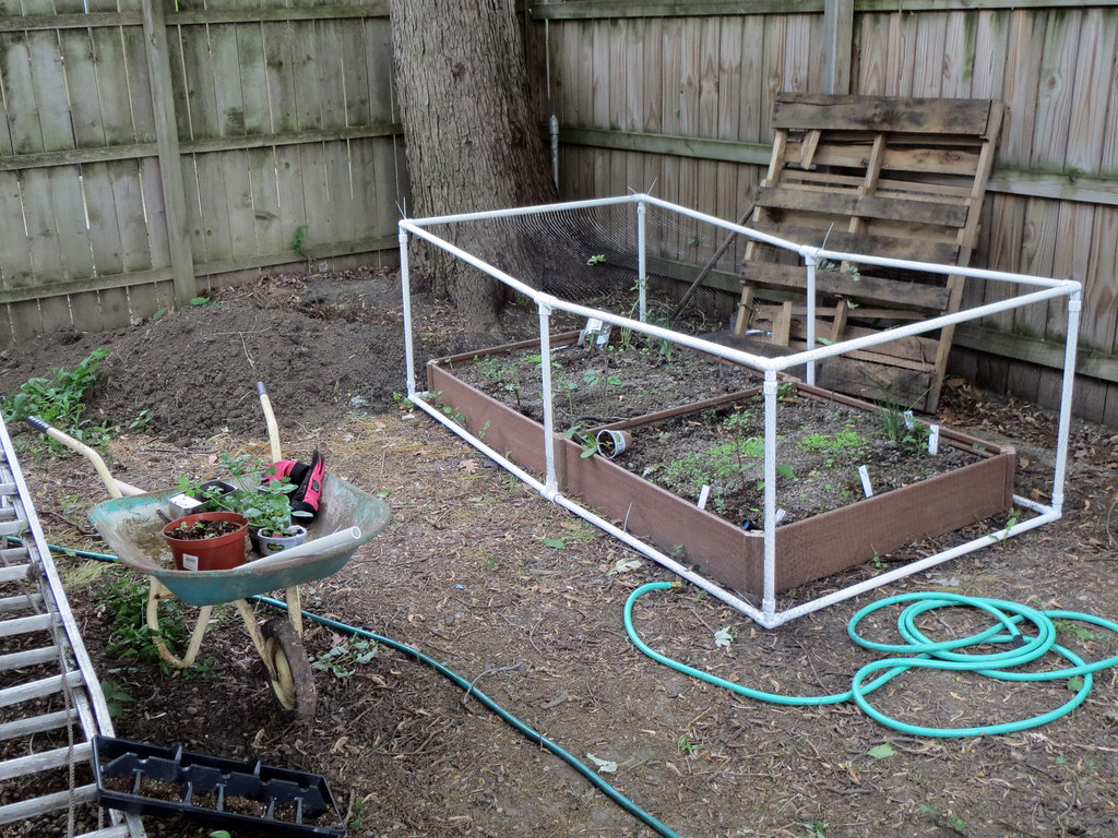 Nadja S Raised Vegetable And Herb Bed With Homemade Pvc An Flickr