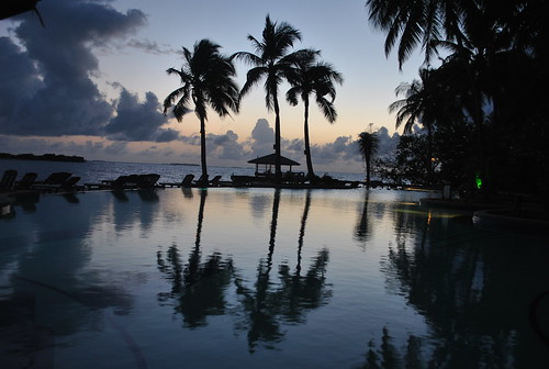 maldives swimmingpool baaatoll palms water mirror reflection sky sunrise clouds