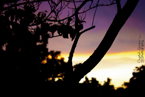 sky sun beauty silhouette oregon sunrise colorful explore pacificnorthwest pdx pnw 503 upperleftusa