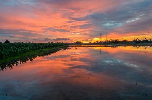 sunset reflection nature field landscape nikon paddy pulau melaka gadong d7000