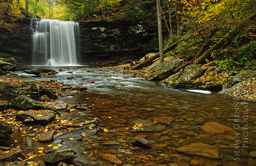 longexposure autumn fall nature leaves creek pennsylvania falls foliage pa waterfalls erie rickettsglen rickettsglenstatepark harrisonwrightfalls harrisonwright october2010