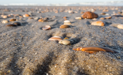 Strand Beach