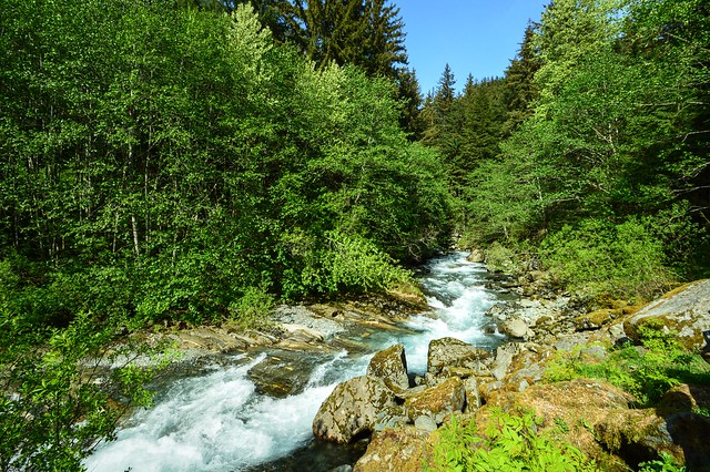 Gold Creek (Juneau)